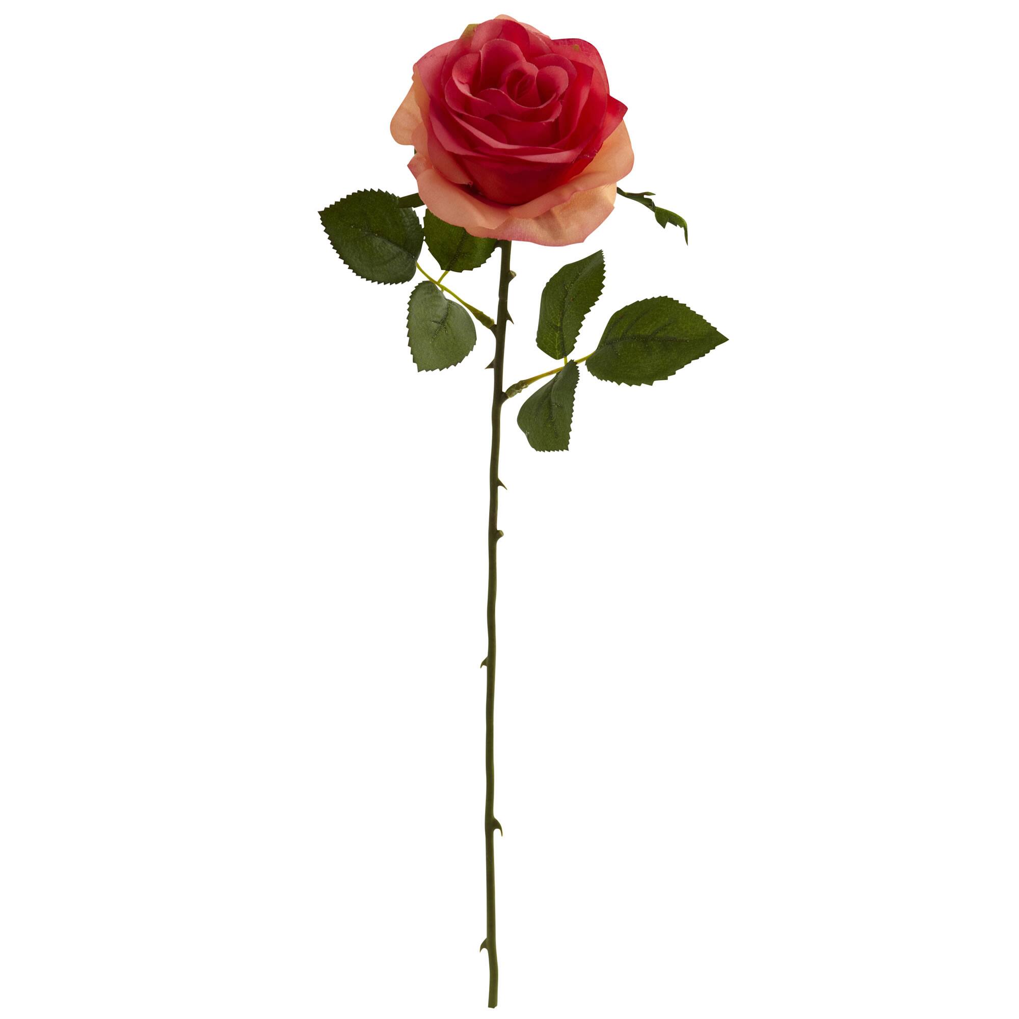 Dark Pink Rose Stems, 24ct.